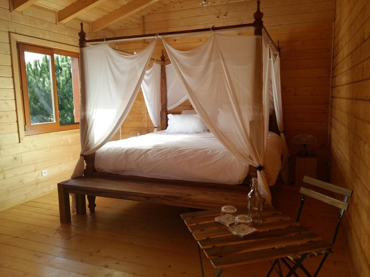 Ecolodge Bellevue Albi Exterior photo